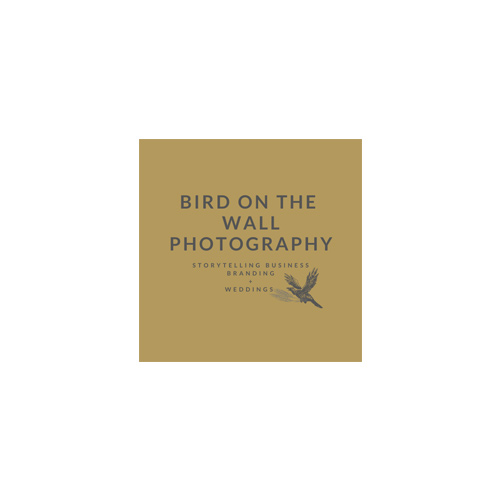 Bird On The Wall Photography