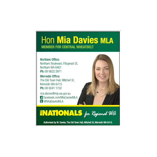Hon Mia Davies MLA