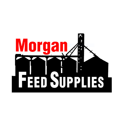 morgan feed supplies